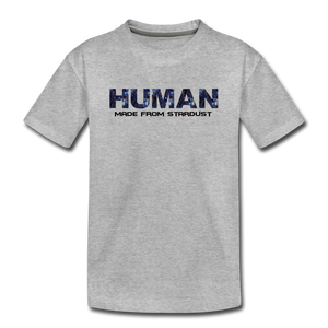 Human - Stardust - Toddler Premium T-Shirt - heather gray