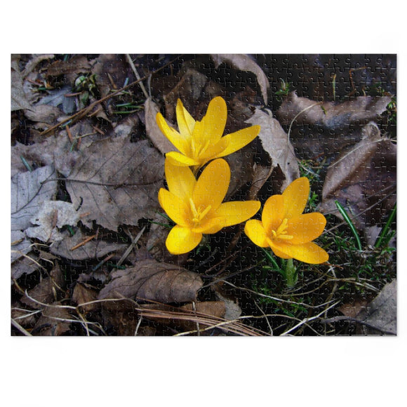 Spring In Wisconsin - Jigsaw Puzzle (500-Piece)