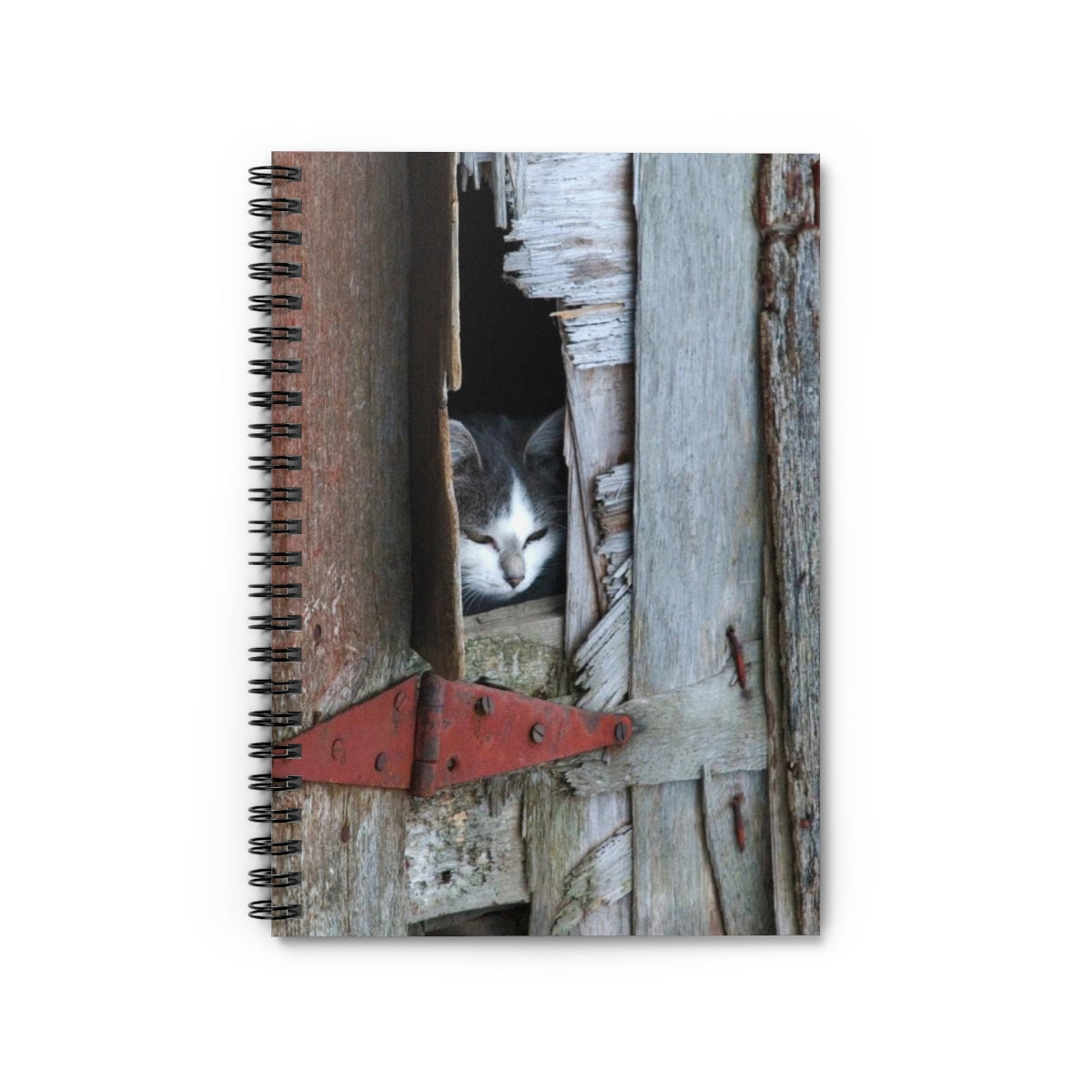 Barn Cat - Spiral Notebook - Ruled Line