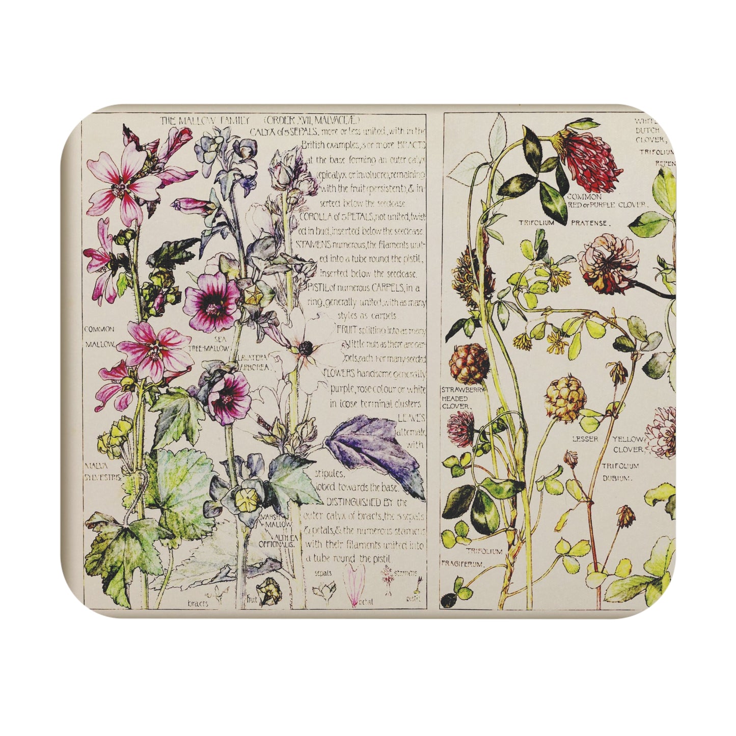 Nature Journal - Wildflowers - Mouse Pad (Rectangle)