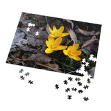 Spring In Wisconsin - Jigsaw Puzzle (500-Piece)