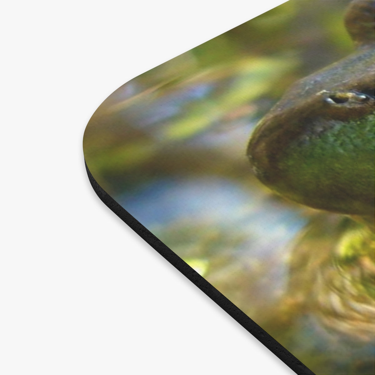 Frog - Mouse Pad (Rectangle)