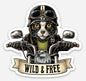 Wild & Free - Motorcycle Cat - Vinyl Sticker