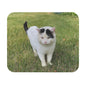 Cat In The Grass - Nitro - Mouse Pad (Rectangle)