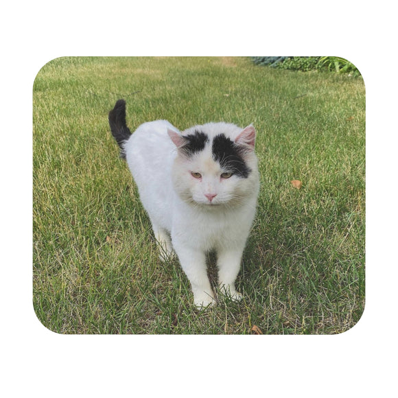 Cat In The Grass - Nitro - Mouse Pad (Rectangle)