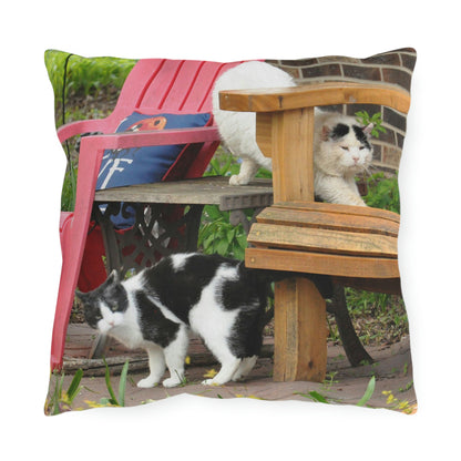 Mamma And Nitro - Outdoor Pillows