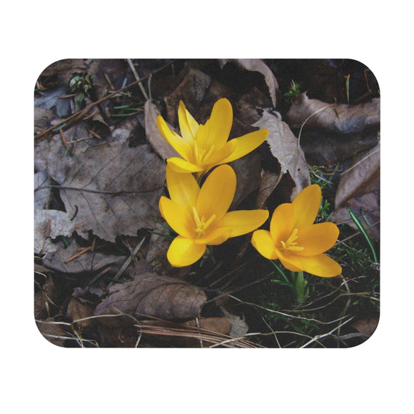 Spring In Wisconsin - Mouse Pad (Rectangle)