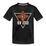 Albuquerque, New Mexico - Kids' Premium T-Shirt - charcoal gray