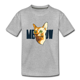Cat Face - Meow - Kids' Premium T-Shirt - heather gray