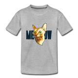 Cat Face - Meow - Toddler Premium T-Shirt - heather gray