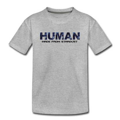 Human - Stardust - Toddler Premium T-Shirt - heather gray