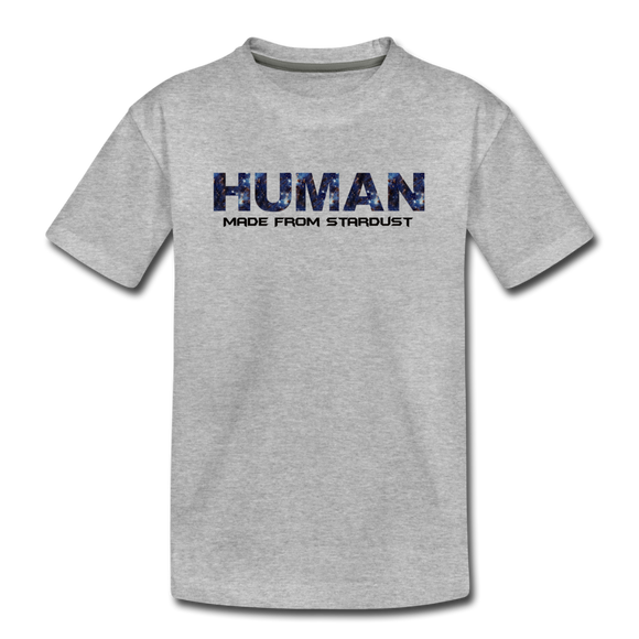 Human - Stardust - Toddler Premium T-Shirt - heather gray