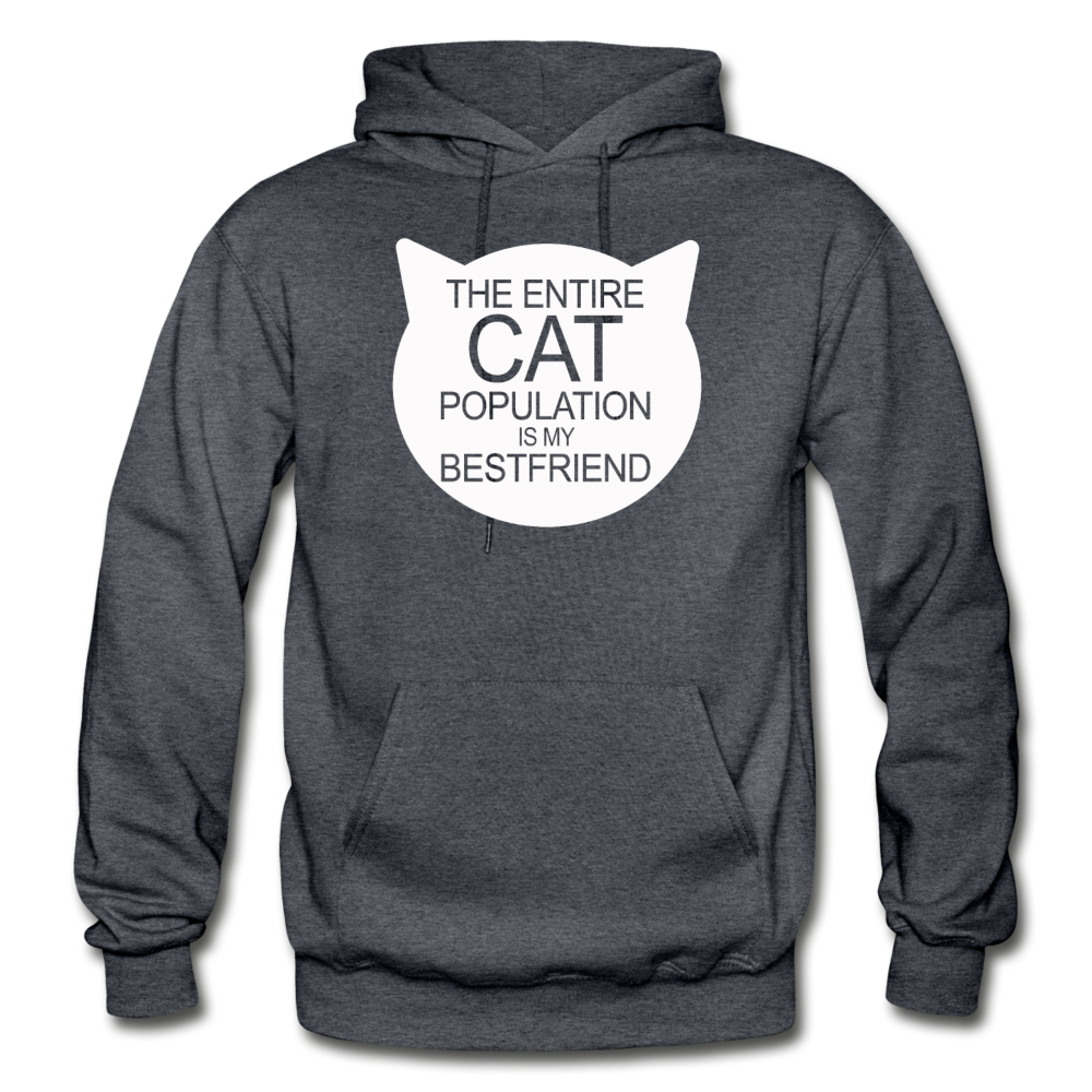 Cats - My Best Friends - White - Gildan Heavy Blend Adult Hoodie - charcoal gray