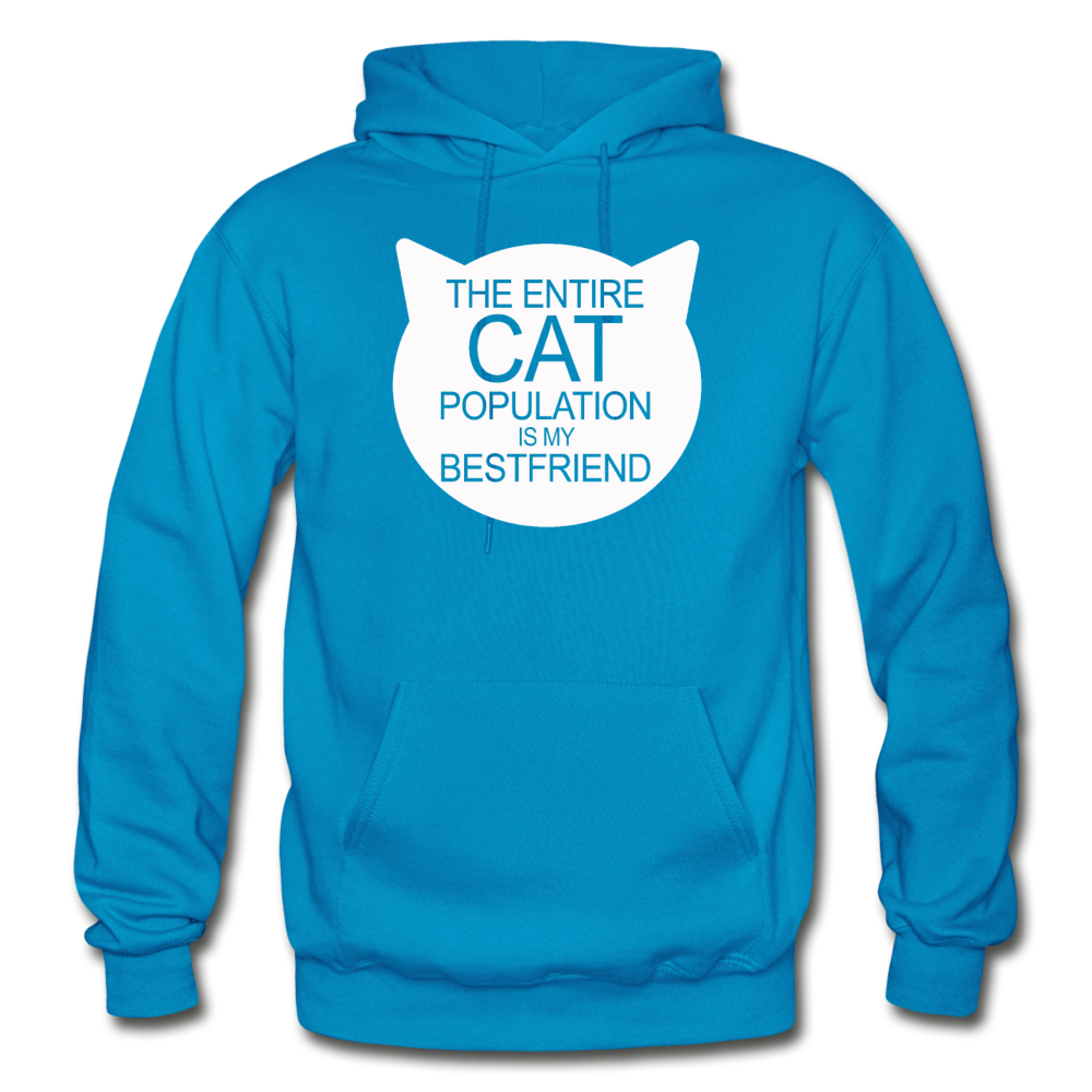 Cats - My Best Friends - White - Gildan Heavy Blend Adult Hoodie - turquoise