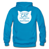 Cats - My Best Friends - White - Gildan Heavy Blend Adult Hoodie - turquoise