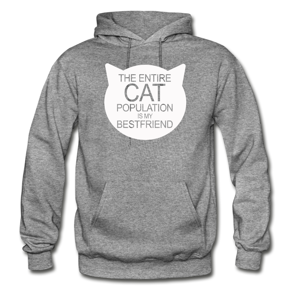 Cats - My Best Friends - White - Gildan Heavy Blend Adult Hoodie - graphite heather