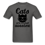 Cats Are Just Awesome - Black - Unisex Classic T-Shirt - charcoal
