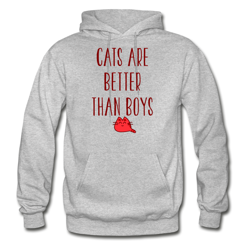 Cats Are Better Than Boys - Gildan Heavy Blend Adult Hoodie - heather gray