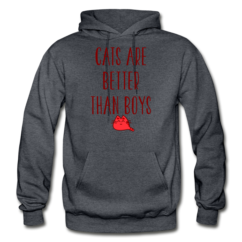 Cats Are Better Than Boys - Gildan Heavy Blend Adult Hoodie - charcoal gray