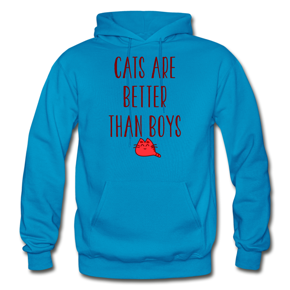 Cats Are Better Than Boys - Gildan Heavy Blend Adult Hoodie - turquoise