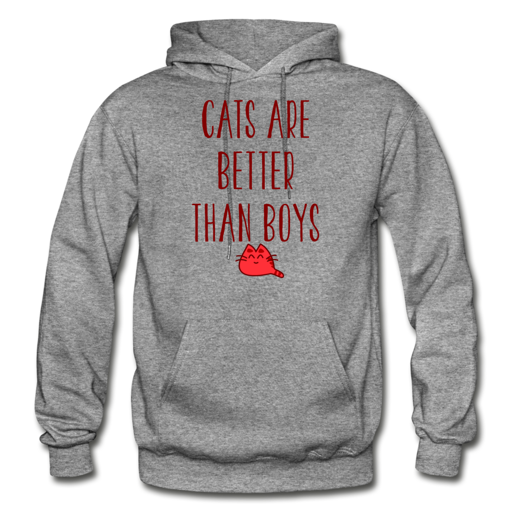 Cats Are Better Than Boys - Gildan Heavy Blend Adult Hoodie - graphite heather