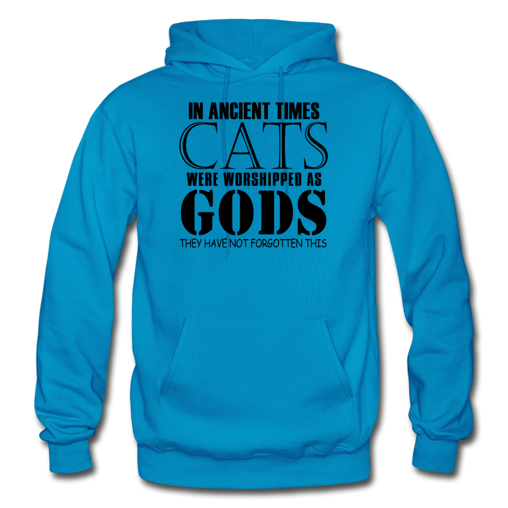 Cats As Gods - Black - Gildan Heavy Blend Adult Hoodie - turquoise