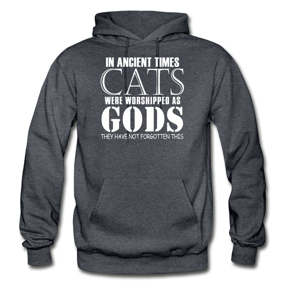 Cats As Gods - White - Gildan Heavy Blend Adult Hoodie - charcoal gray