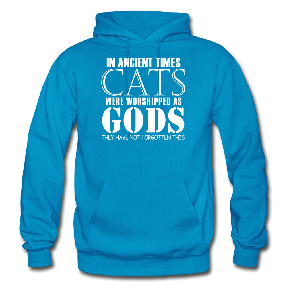 Cats As Gods - White - Gildan Heavy Blend Adult Hoodie - turquoise