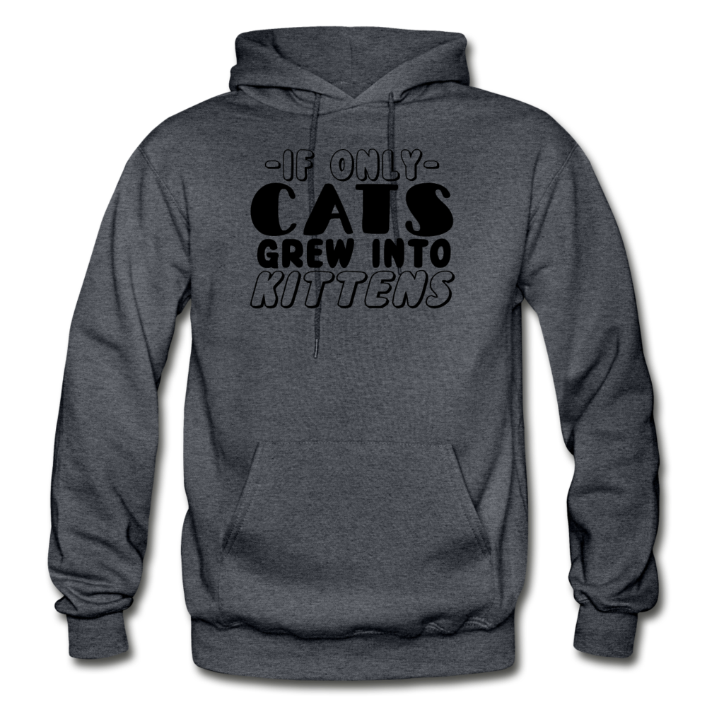 Cats Grew Into Kittens - Black - Gildan Heavy Blend Adult Hoodie - charcoal gray