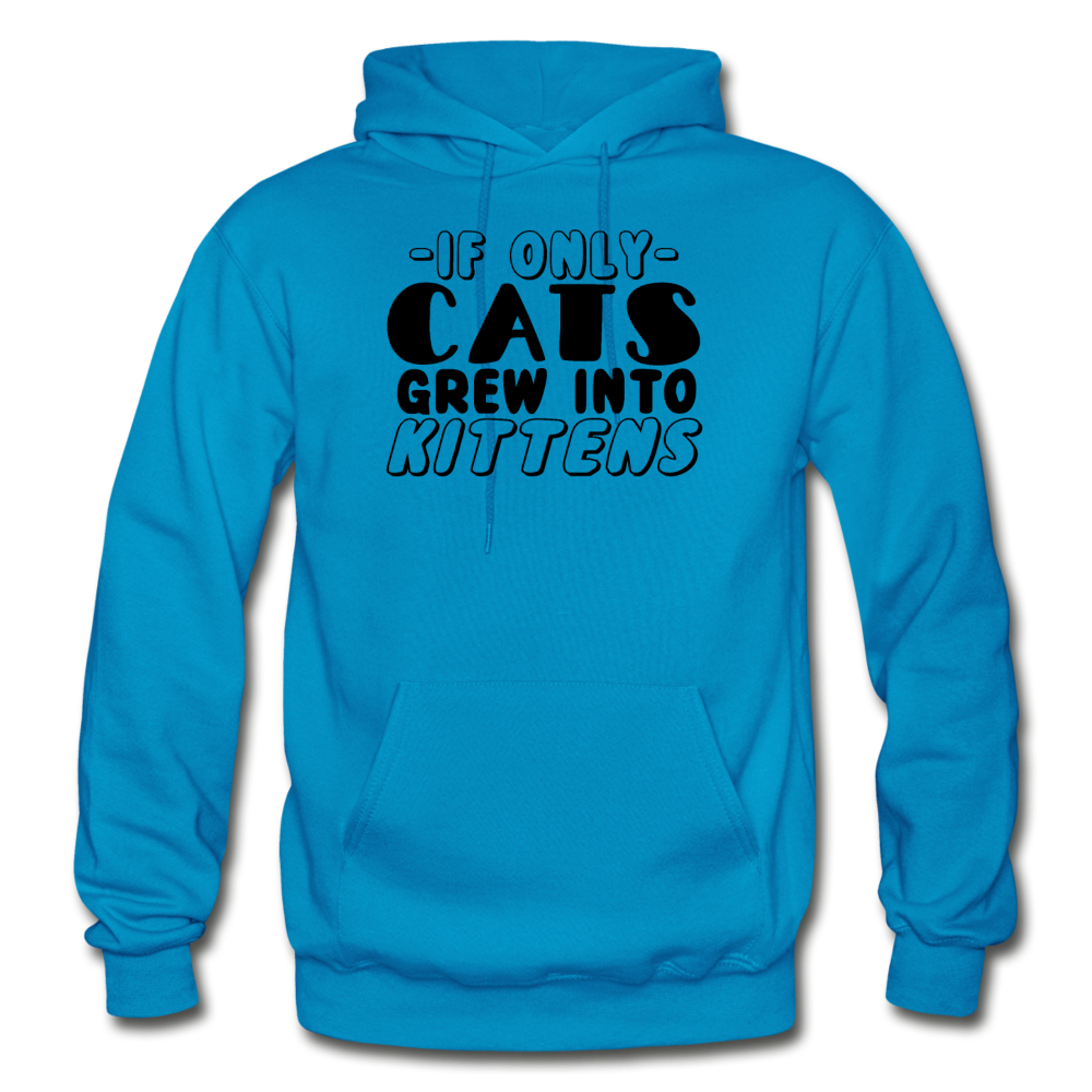 Cats Grew Into Kittens - Black - Gildan Heavy Blend Adult Hoodie - turquoise