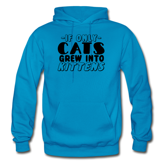 Cats Grew Into Kittens - Black - Gildan Heavy Blend Adult Hoodie - turquoise