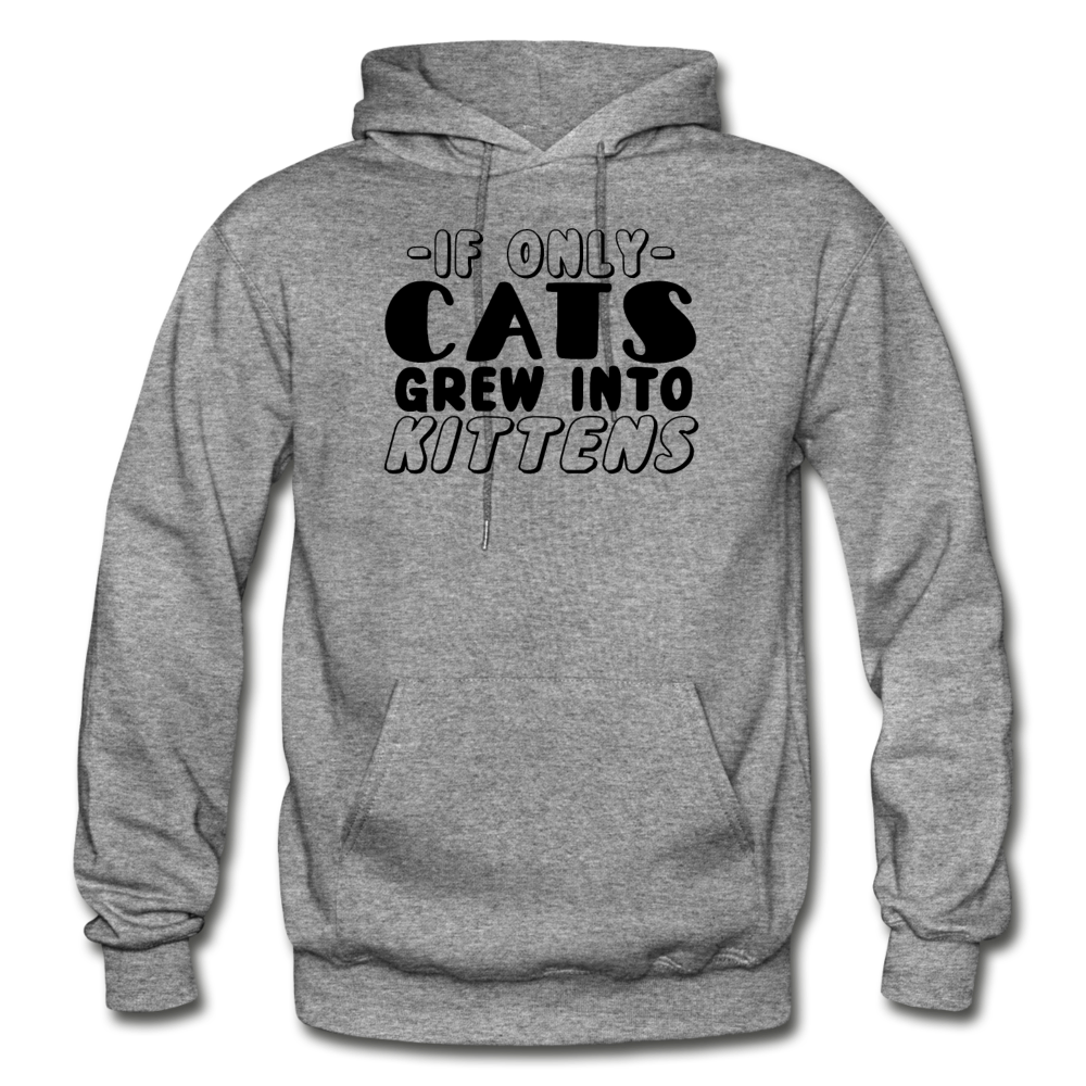 Cats Grew Into Kittens - Black - Gildan Heavy Blend Adult Hoodie - graphite heather