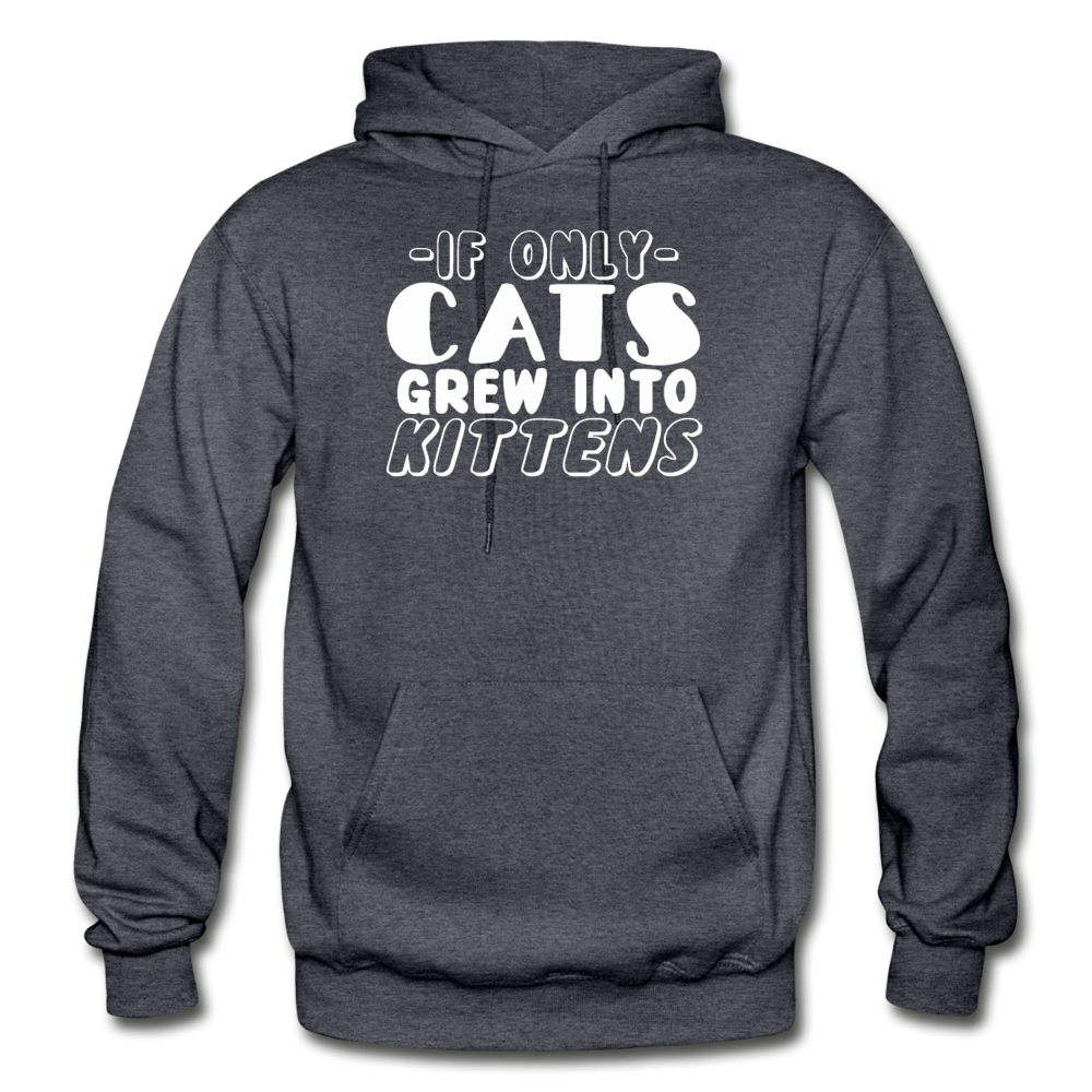 Cats Grew Into Kittens - White - Gildan Heavy Blend Adult Hoodie - charcoal gray