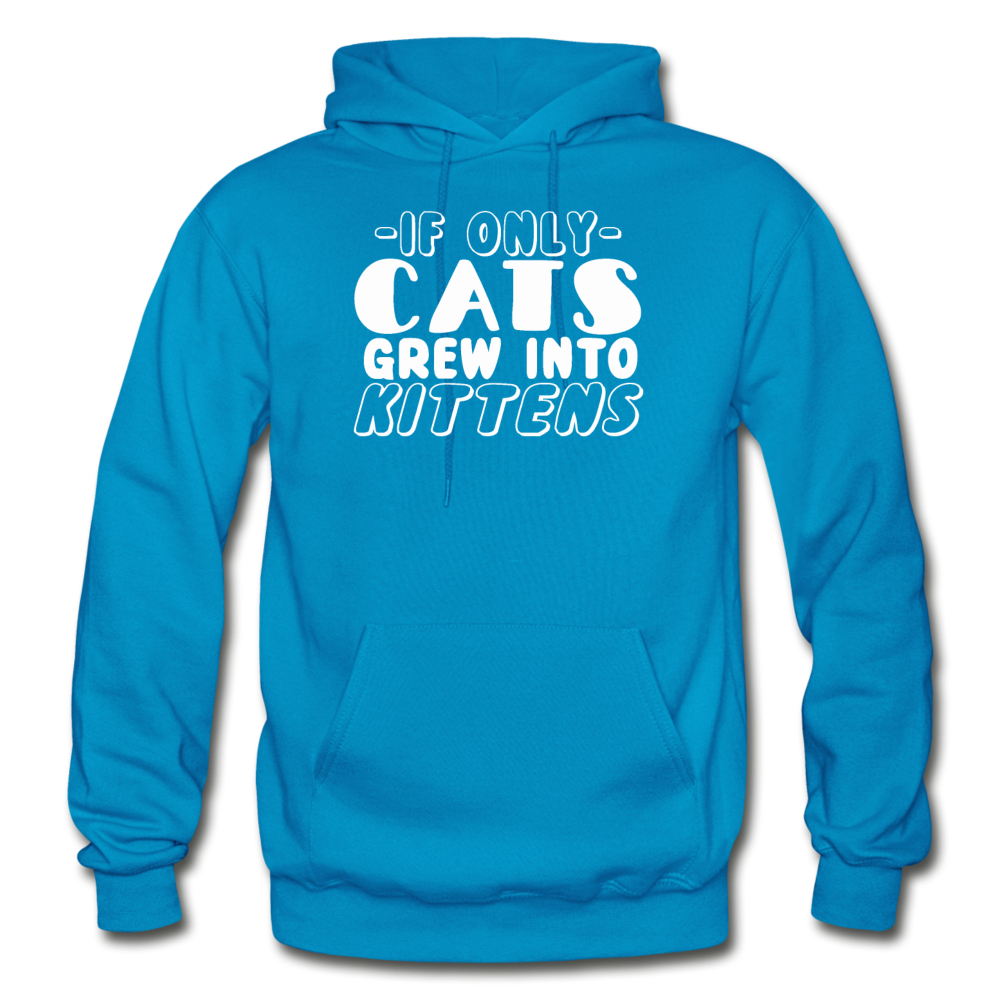 Cats Grew Into Kittens - White - Gildan Heavy Blend Adult Hoodie - turquoise