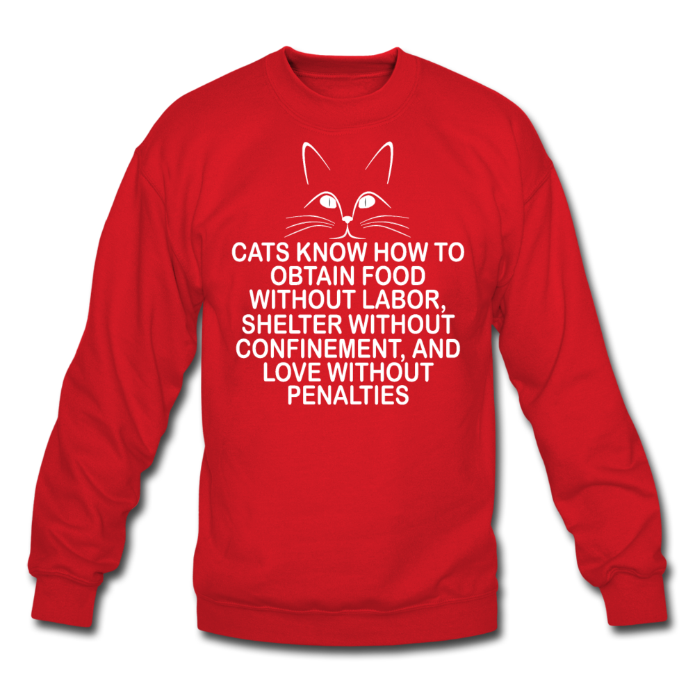 Cats Know - White - Crewneck Sweatshirt - red