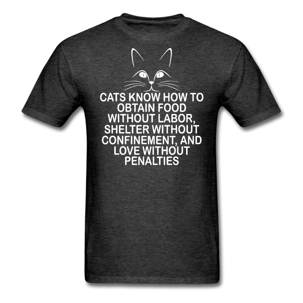 Cats Know - White - Unisex Classic T-Shirt - heather black