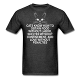 Cats Know - White - Unisex Classic T-Shirt - heather black