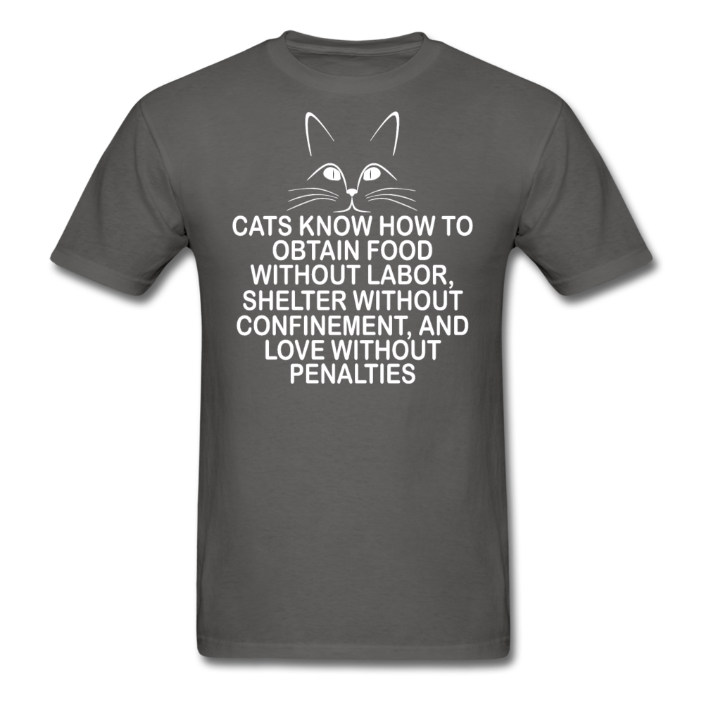 Cats Know - White - Unisex Classic T-Shirt - charcoal