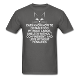 Cats Know - White - Unisex Classic T-Shirt - charcoal