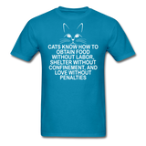 Cats Know - White - Unisex Classic T-Shirt - turquoise
