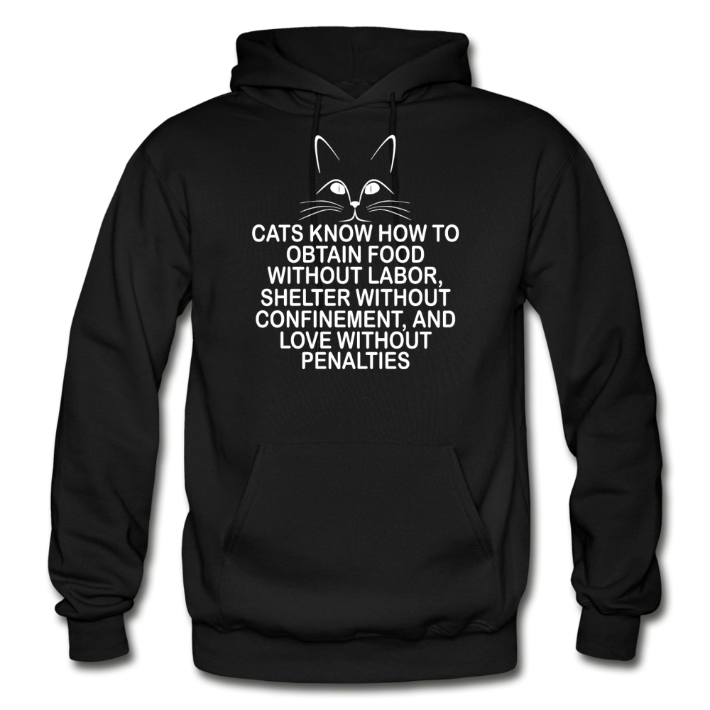 Cats Know - White - Gildan Heavy Blend Adult Hoodie - black