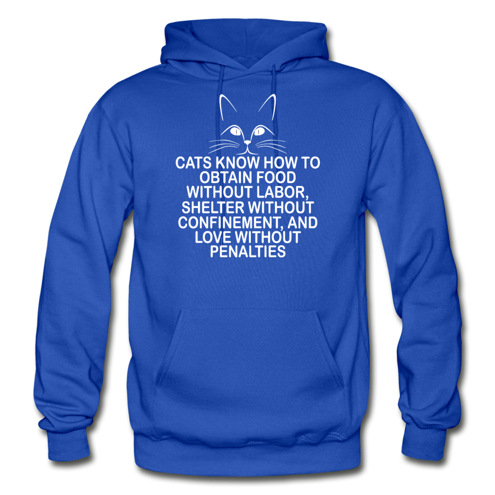 Cats Know - White - Gildan Heavy Blend Adult Hoodie - royal blue