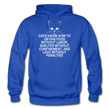Cats Know - White - Gildan Heavy Blend Adult Hoodie - royal blue