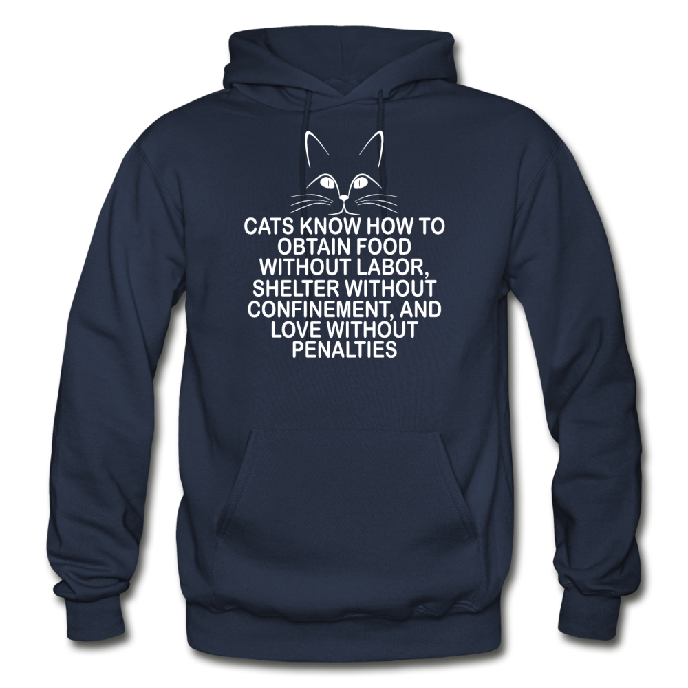 Cats Know - White - Gildan Heavy Blend Adult Hoodie - navy