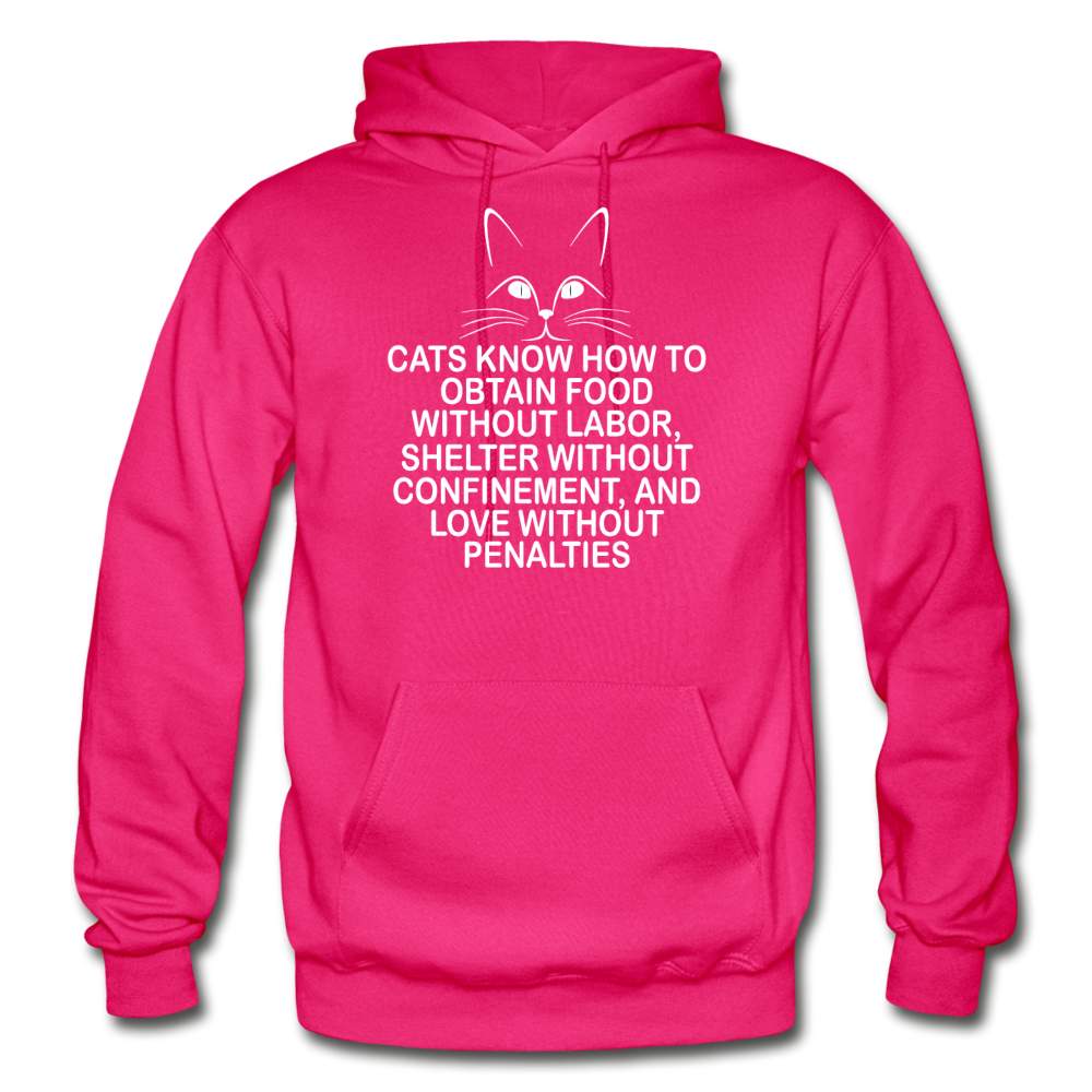 Cats Know - White - Gildan Heavy Blend Adult Hoodie - fuchsia