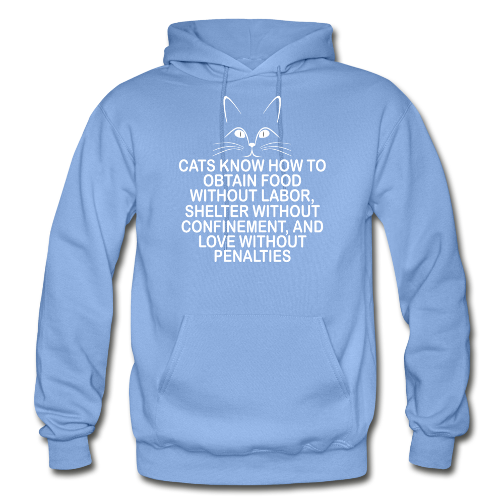 Cats Know - White - Gildan Heavy Blend Adult Hoodie - carolina blue