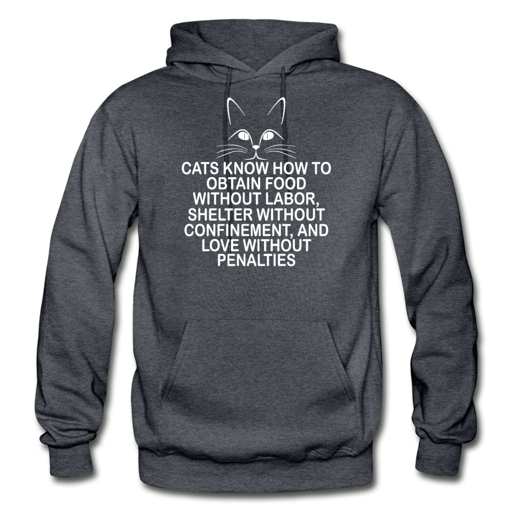 Cats Know - White - Gildan Heavy Blend Adult Hoodie - charcoal gray