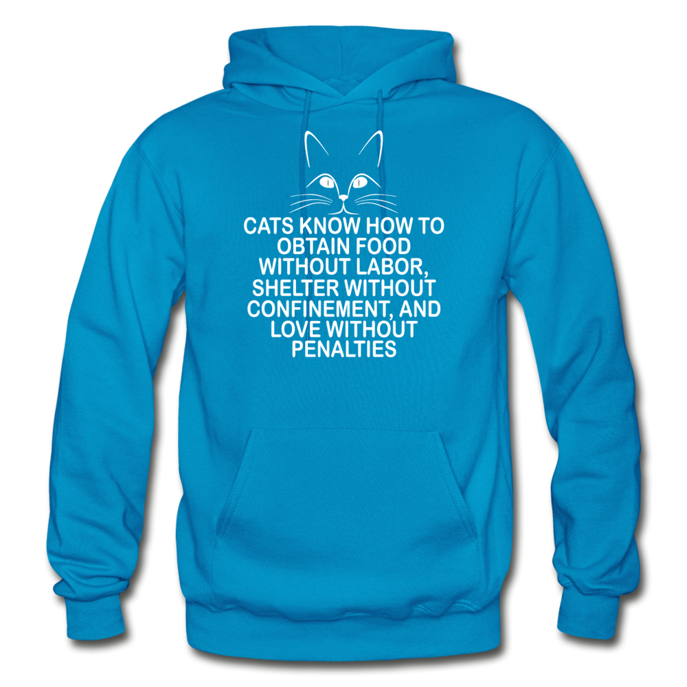 Cats Know - White - Gildan Heavy Blend Adult Hoodie - turquoise