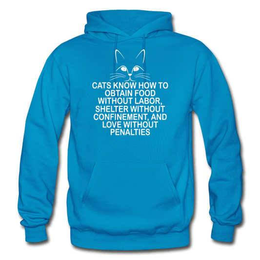 Cats Know - White - Gildan Heavy Blend Adult Hoodie - turquoise