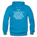 Cats Know - White - Gildan Heavy Blend Adult Hoodie - turquoise